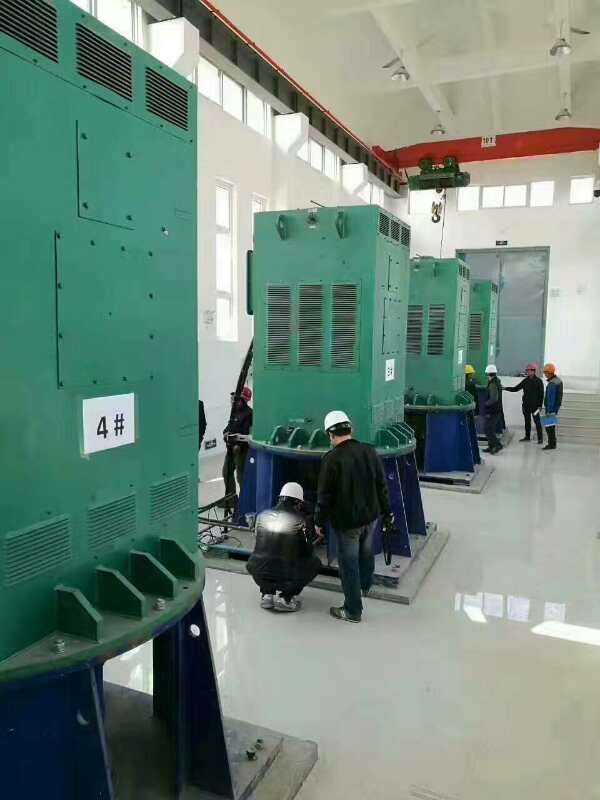 彭山某污水处理厂使用我厂的立式高压电机安装现场