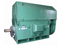 彭山Y系列6KV高压电机